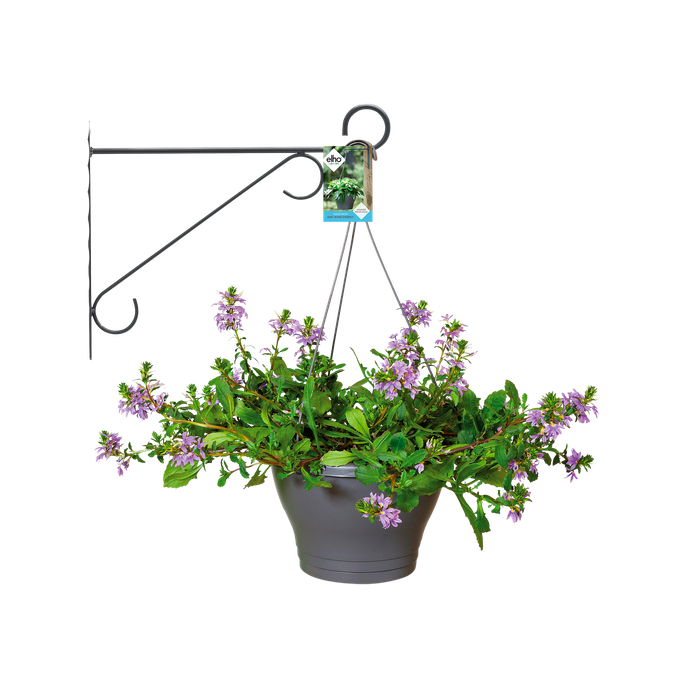 wall hook elegance 30cm anthracite